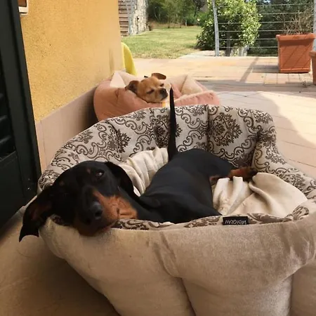 Casa Estella Сasa de vacaciones *